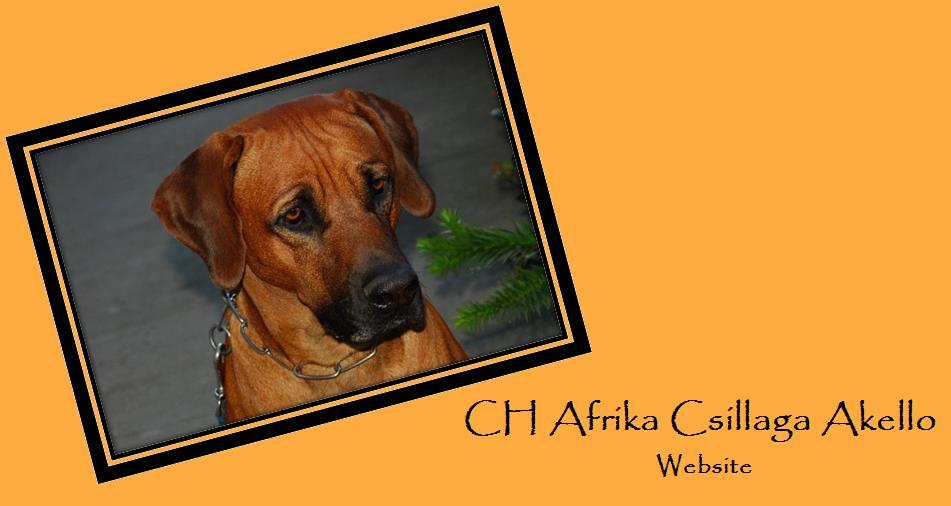 CH Afrika Csillaga Akello Website
